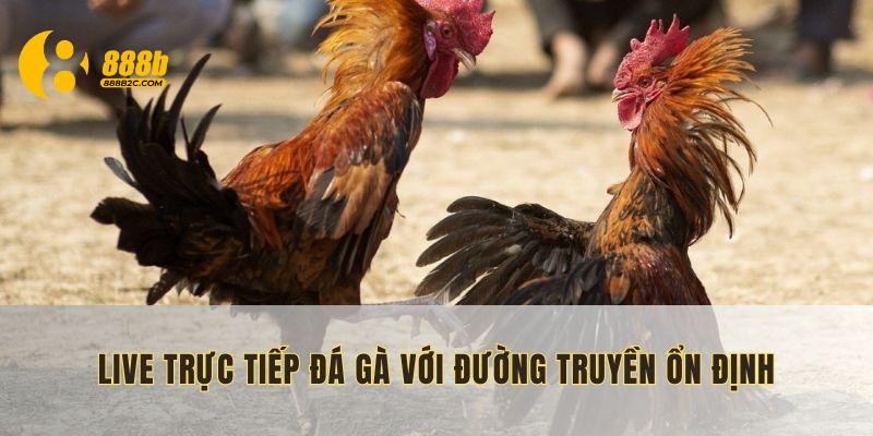 Live trực tiếp đá gà với đường truyền ổn định, mượt mà tại 888B link